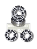 Set Rulmenti Ambielaj Drujba 5200 (2 Bucati)